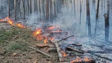 Адският пожар на Витоша! Включи се и хеликоптер