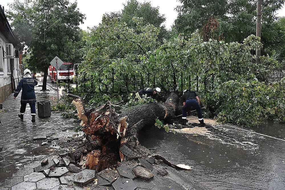 Тежка буря удари Хасково. Какво се случи