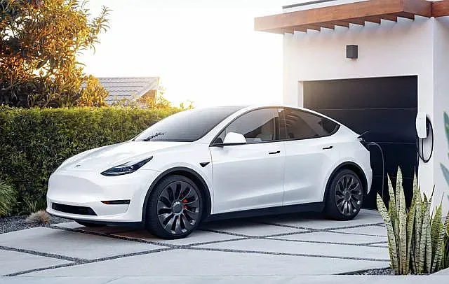 Лоша новина за елколите! Какво откриха