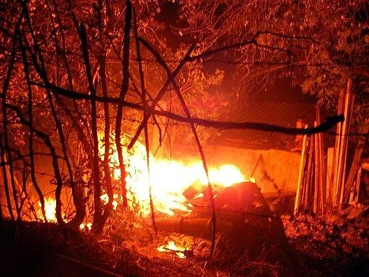 Пламнаха изоставени лозя и затвориха пътя София - Русе