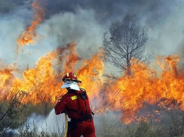 Голям пожар в село близо до Перник