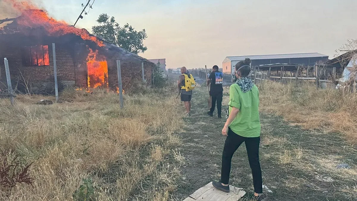 100 пожара бушуват у нас, в Пирин и Ямболско е критично