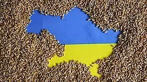 За една седмица! Колко украинци са влязли в Черна Гора