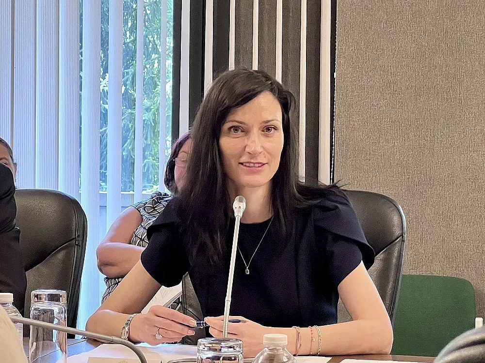 Габриел в Анкара. Ключова визита