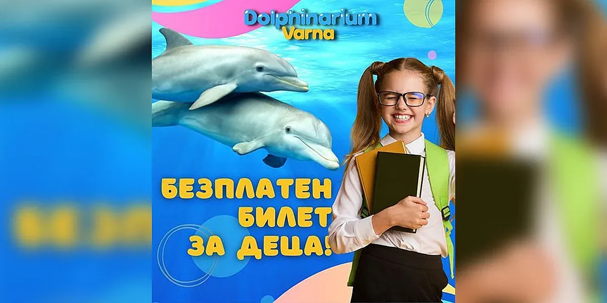 Варненският делфинариум подарява безплатен билет на децата за първия учебен ден!