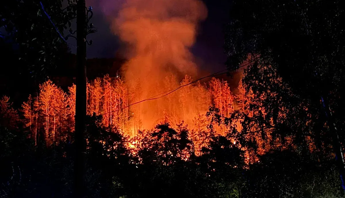 Шефът на пожарната: Гори на 236 места в България!