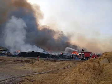Пожарът до ТЕЦ "Бобов дол" е бързо потушен, няма пострадали