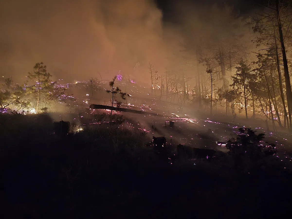 Евакуират хора заради пожара в Илинденци