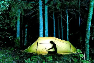 Безопасна разходка както сред природата, така и онлайн