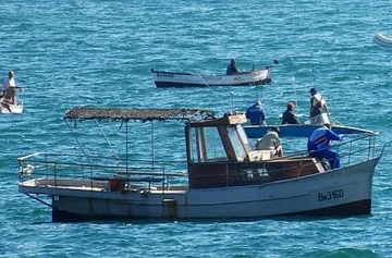 От борсата до ресторанта. Рибата на морето поскъпва