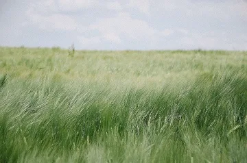 Слънчева събота, синоптиците обещават топло време