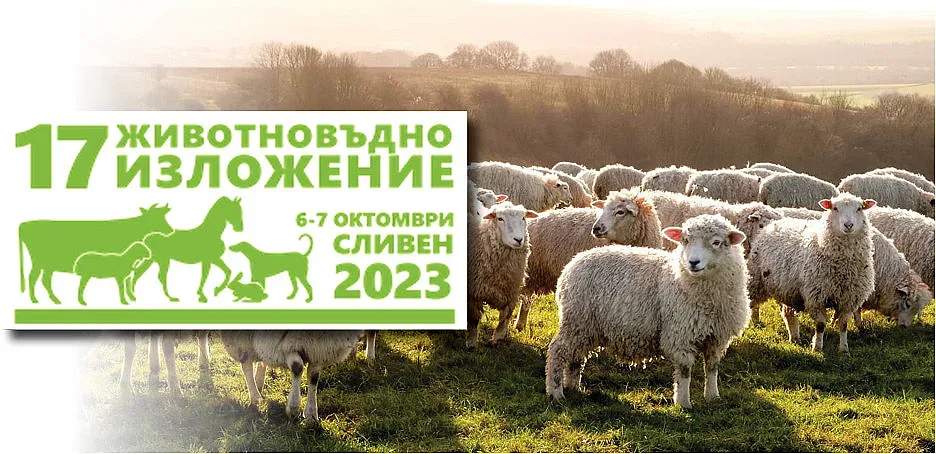 Уникалното “зелено” овче сирене представат на „Срещата на елита“ в Сливен