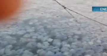 Румънците на нокти! Какво видяха в Черно море