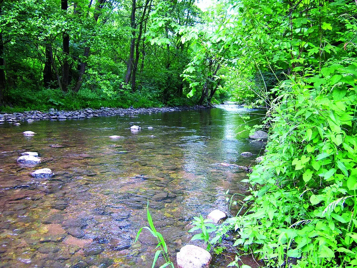 Домът на вълци и вековни гори. Райско място у нас спира дъха