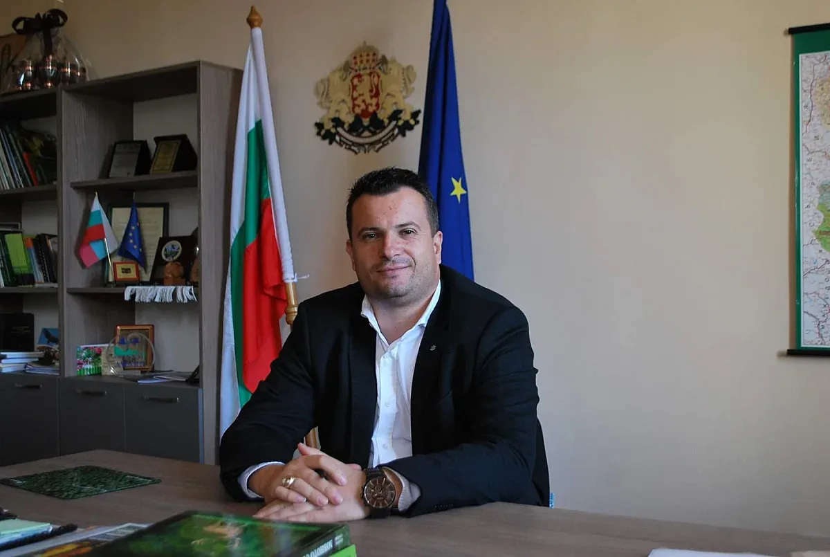 Важна новина за дървата за огрев. Ще се повтори ли истерията?