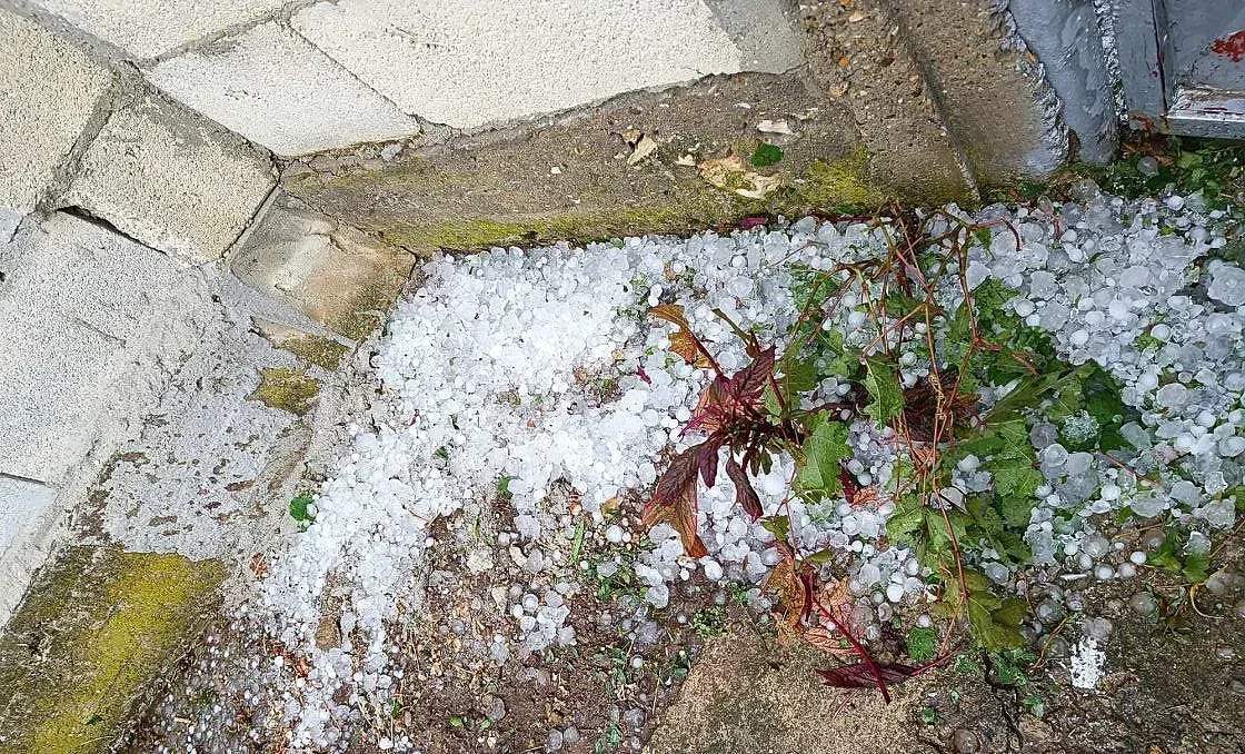 Градушка като голям орех съсипа реколтата. Къде удари най-силно