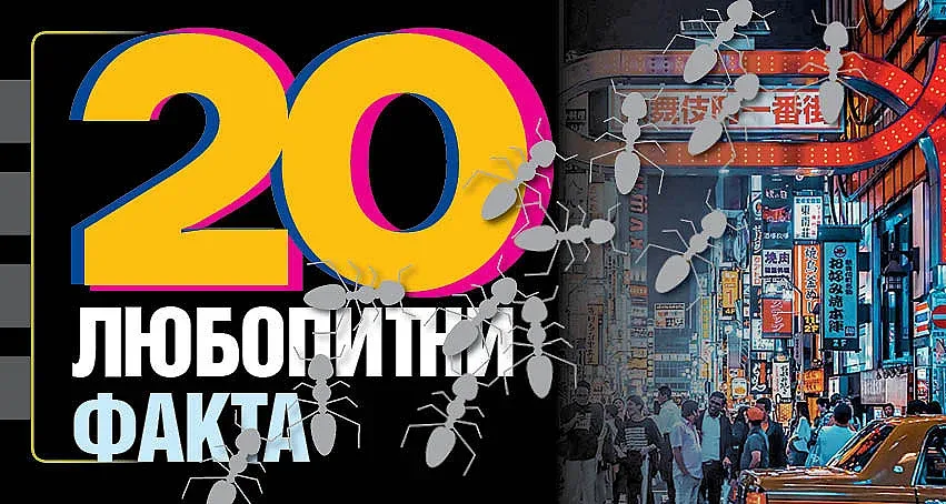 20 любопитни факта за света и живота