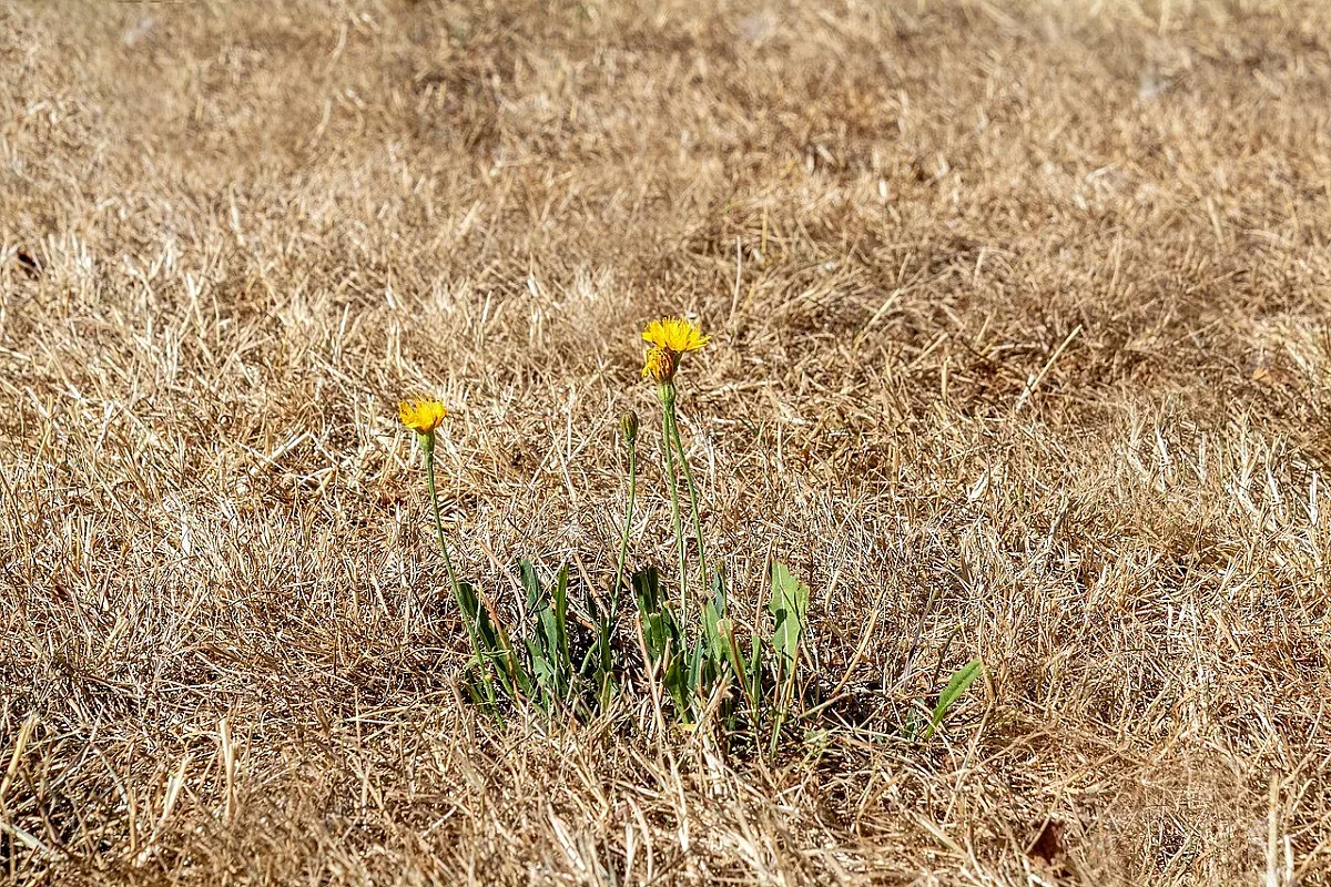 Слънчев и горещ ден, но ето какво се задава във вторник и сряда