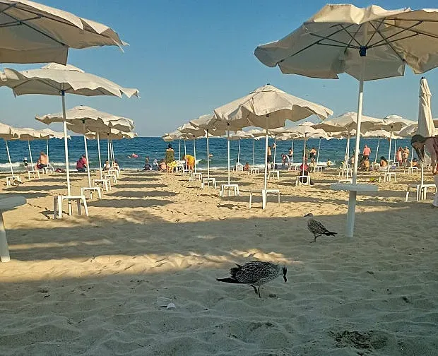 Гняв срещу плажа на Варна. Причината