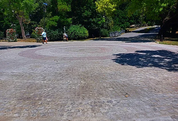 Щастлива новина. Варненци са във възторг