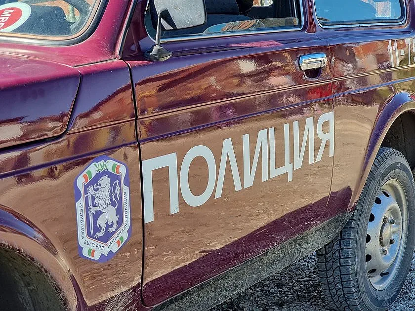 Див кютек в столичен квартал. Има пострадал