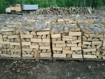 Важна новина за дървата за огрев!