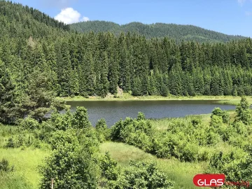 Спасението! В този рай е с 10 градуса по-хладно /СНИМКИ/