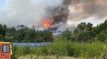 Пожар край София заплашва детски онкоцентър