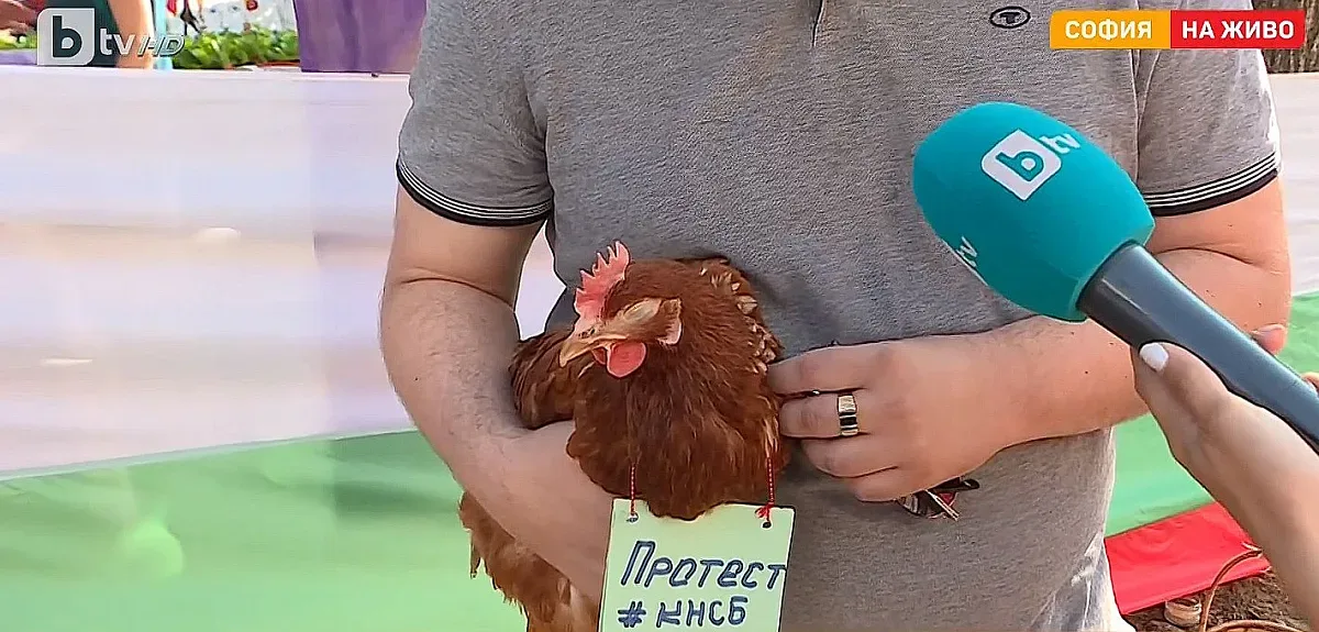 КНСБ изкара кокошките на протест