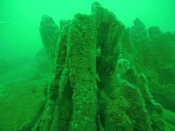 Ето къде се намира подводната каменна гора