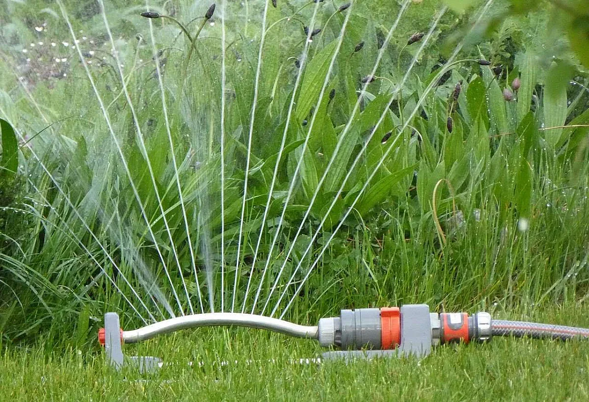 Пзаруването онлайн навлиза с пълна сила