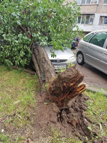 След водния ад в София! Къде са погромите