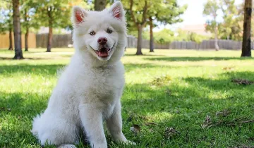 Времето става горещо, но ето къде дебнат дъждовете