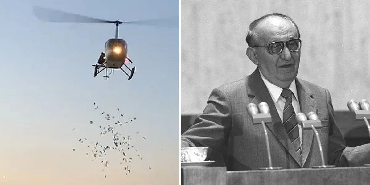 Банкноти с лика на Тодор Живков хвърчат над плаж Градина