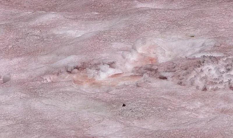 Сняг заваля в САЩ! Американците смаяни