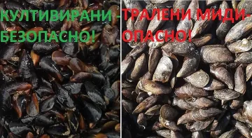 Внимание! Дебне голяма опасност на софрата на морето