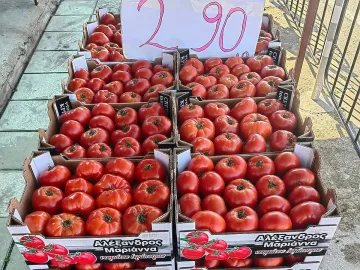 Скъпи домати! Експерт обясни докога