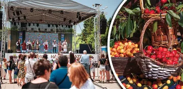 3 дни черешата е царица в Кюстендил
