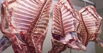 Диетолозите се намесиха, казаха какво месо да не ядем