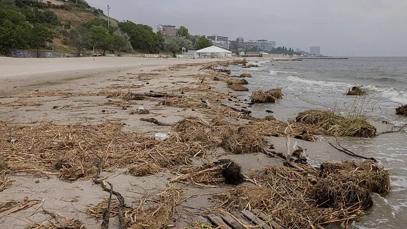 Голяма тревога дойде от Одеса, здравният министър успокоява