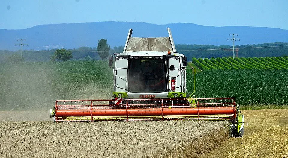 Уникални престъпления в Англия заради войната в Украйна