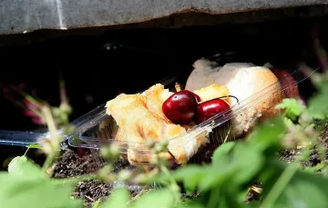 Черешова Задушница е. Какво да правим в днешния ден?