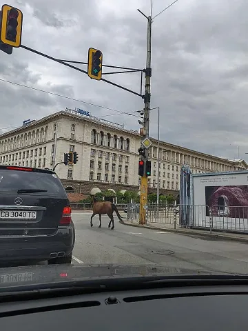 Столичани не вярват на очите си: В Дивия Запад ли сме?