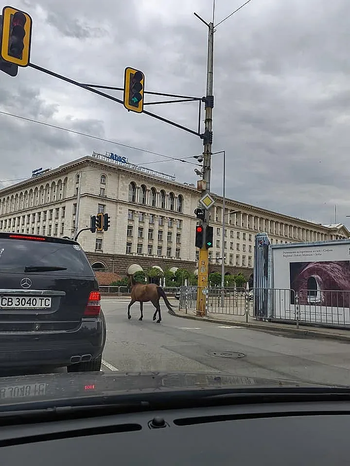 Столичани не вярват на очите си: В Дивия Запад ли сме?