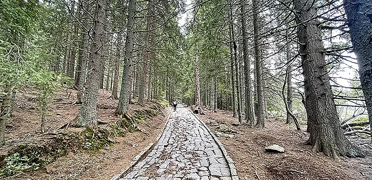 Къде на Витоша е най-вкусната супа