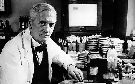 Случайното спасение на милиони! Откритието, което промени света