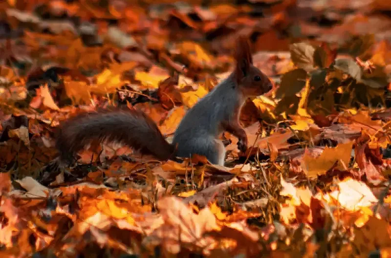 Времето в неделя: Две Българии