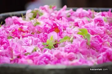 Българското розово масло стана интелектуална собственост