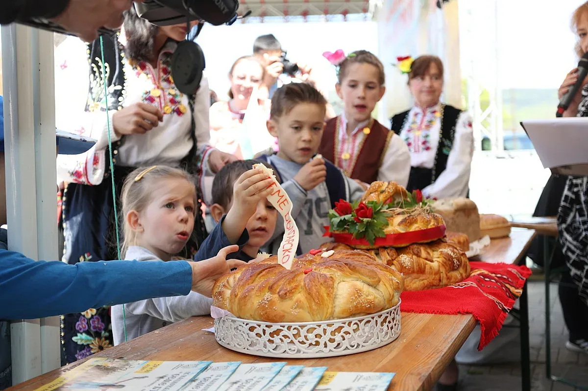 Тревожна статистика: 80 % от пчелите у нас гинат