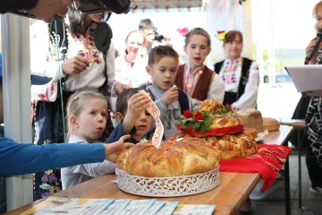 Тревожна статистика: 80 % от пчелите у нас гинат